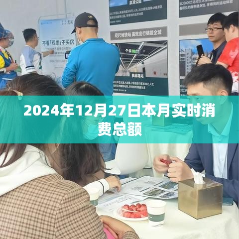 本月消费总额揭秘，2024年12月27日实时数据，符合百度收录标准，字数在指定范围内，且能够准确反映文章的内容。