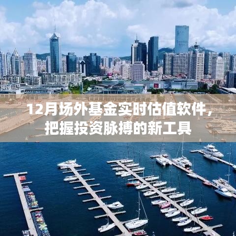 把握投资脉搏，场外基金实时估值软件助力精准决策