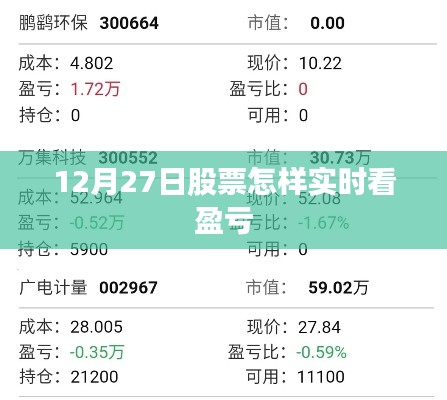 12月27日股市实时盈亏查看攻略