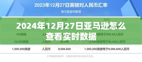 亚马逊实时数据查看指南，2024年12月27日操作教程