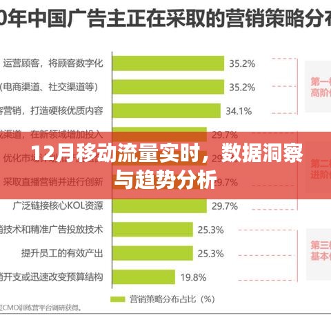 移动流量实时洞察与趋势分析（深度解析数据变化）