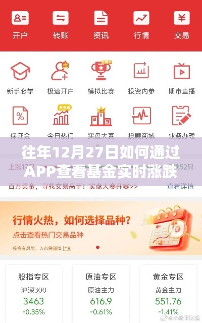 如何通过APP查看往年12月27日基金实时涨跌情况