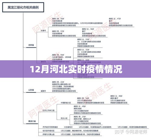 河北最新疫情实时动态分析