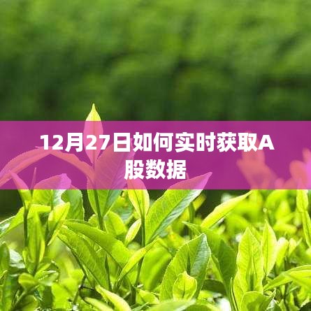 12月27日实时获取A股数据的策略与技巧