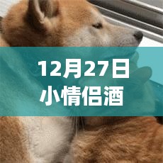 12月27日情侣酒店直播，亲密之旅的独特魅力