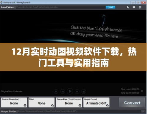 12月热门动图视频软件下载指南及实用工具推荐