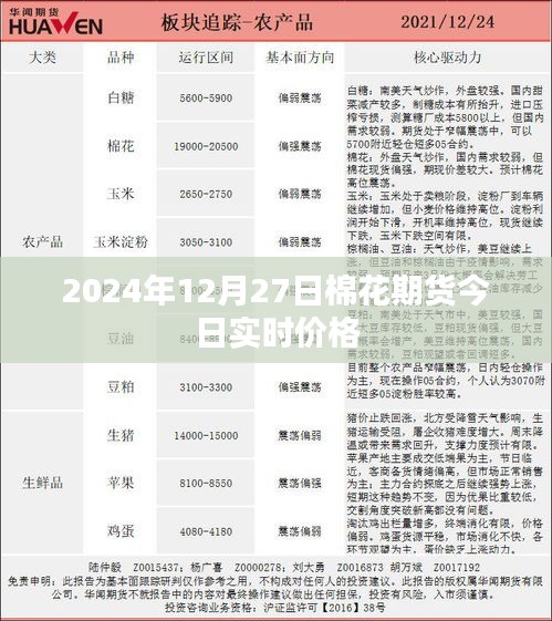 2024年12月27日棉花期货最新实时价格