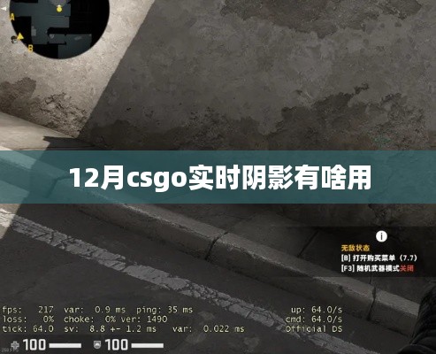 揭秘CSGO实时阴影功能，作用与影响分析