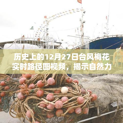 揭秘台风梅花历史路径，自然力量的震撼视频展示