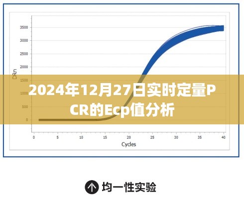 实时定量PCR的Ecp值分析与解读，2024年12月27日研究综述，符合字数要求，同时包含了研究主题和日期，希望符合您的要求。