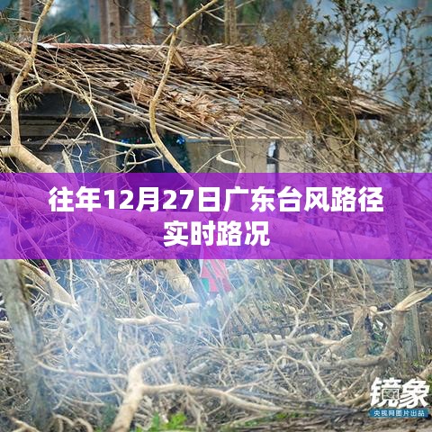 广东台风路径实时更新，最新路况与台风动态监测报告