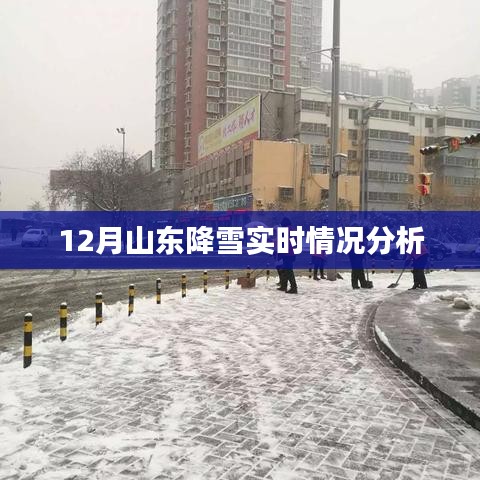 山东冬季降雪实时分析