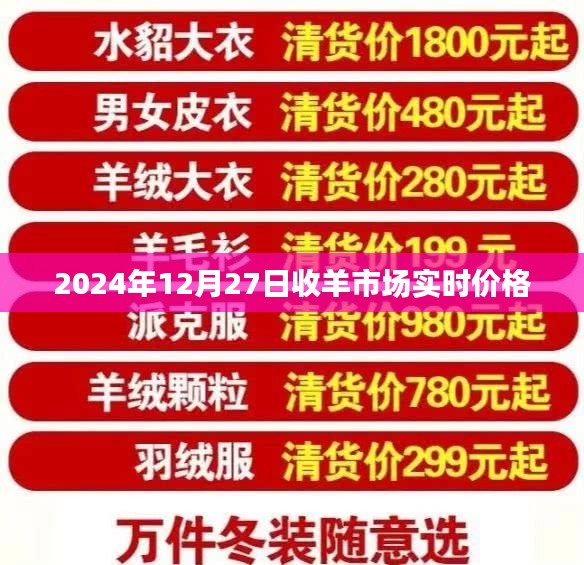 关于羊市场实时价格的最新动态（最新日期更新）