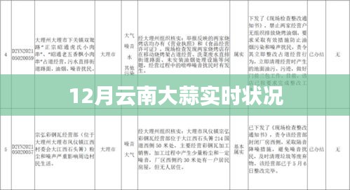 云南大蒜12月市场动态概览