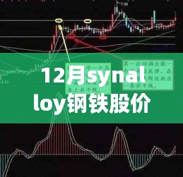 Synalloy钢铁股价12月实时动态