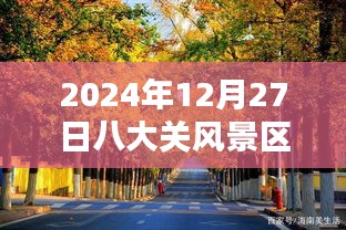 2024年12月 第8页