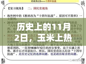 玉米上热门的历史原因及其影响分析