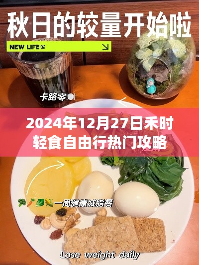 禾时轻食自由行，热门攻略揭秘