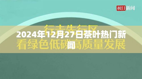 茶叶行业最新动态，2024年12月27日热点新闻解析