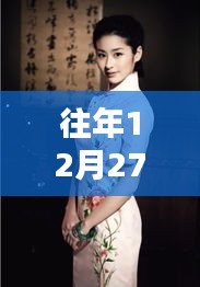 往年12月27日旗袍测评大盘点