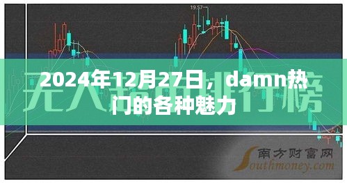 2024年热门活动魅力展现日