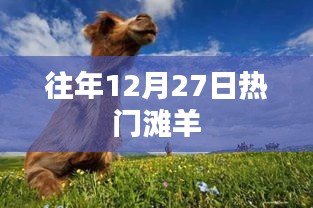 往年12月27日滩羊狂欢季