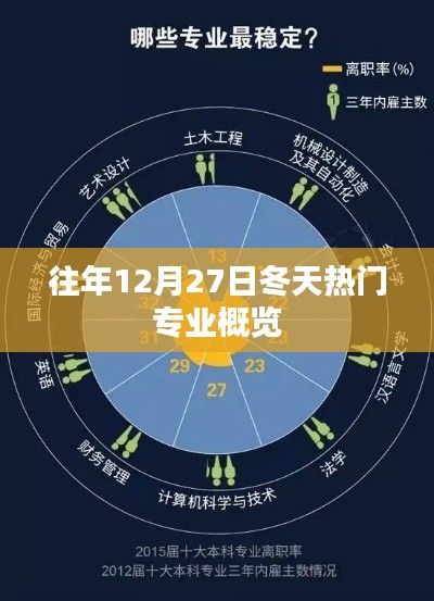 往年冬季热门专业概览，12月27日聚焦专业趋势