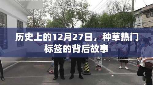 揭秘历史中的12月27日，热门标签背后的故事