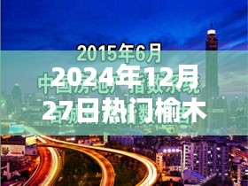 榆木独特魅力与价值探寻，热门榆木揭秘于2024年冬