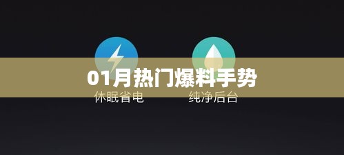 手势揭秘，一月热门爆料来袭！