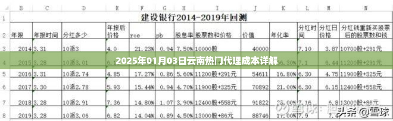 云南代理成本解析，2025年最新行情深度解读