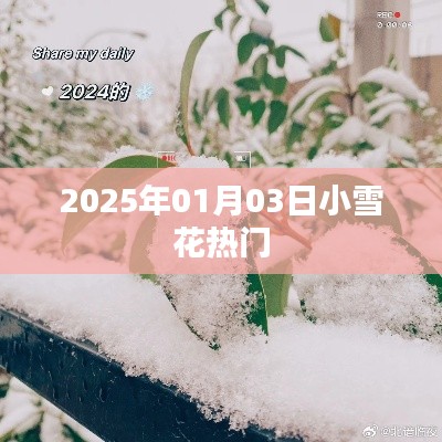 2025年小雪花热门来袭，冬日美景不容错过！