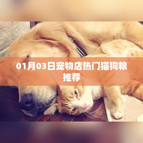 热门猫狗粮推荐，宠物店精选榜单（日期，XX月XX日）