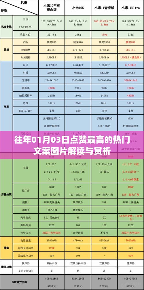 热门文案图片解读与赏析，历年1月3日高赞之选