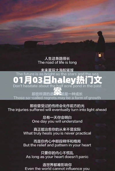 Haley热门文案大揭秘，1月3日独家分享