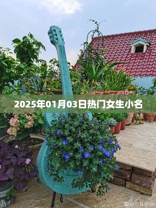 女生小名精选，2025年热门可爱小名推荐