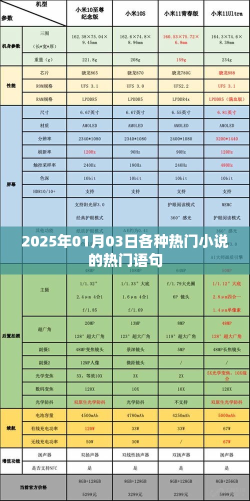 热门小说经典语录盘点，2025年1月3日更新