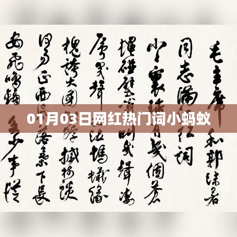 网红小蚂蚁，热门词汇解析（最新）