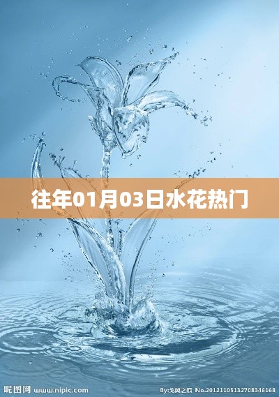 水花热门事件回顾，历年一月三日盛况揭秘