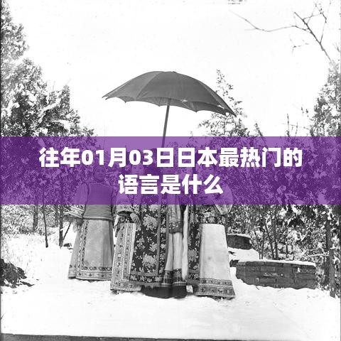 日本热门语言盘点，历年趋势解析