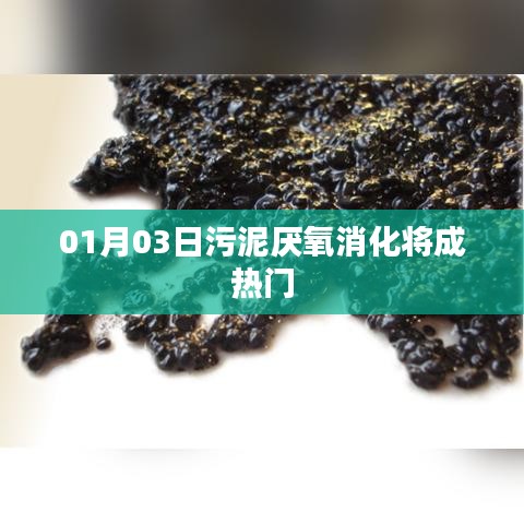 污泥厌氧消化技术，行业新宠，引领未来趋势