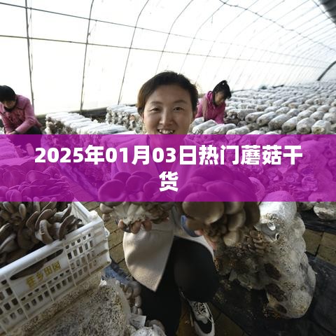 『2025年蘑菇干货市场热门趋势』