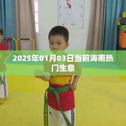 海南热门生意趋势分析（2025年1月）