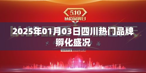 四川品牌孵化盛况揭秘，2025年1月3日盛况空前