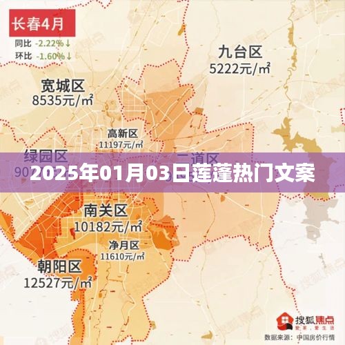 莲蓬热门文案，探寻未来趋势，尽在2025年元旦莲蓬盛景