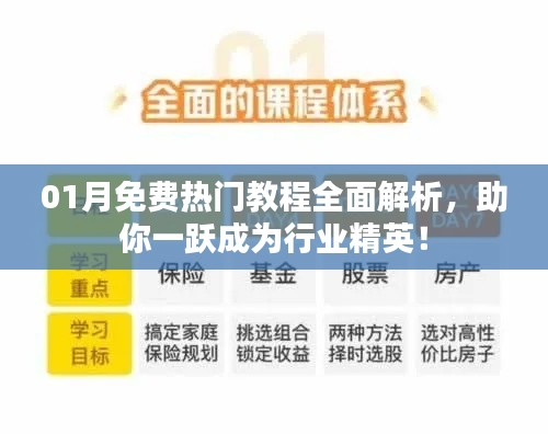 热门教程全面解析助力行业精英成长秘籍！