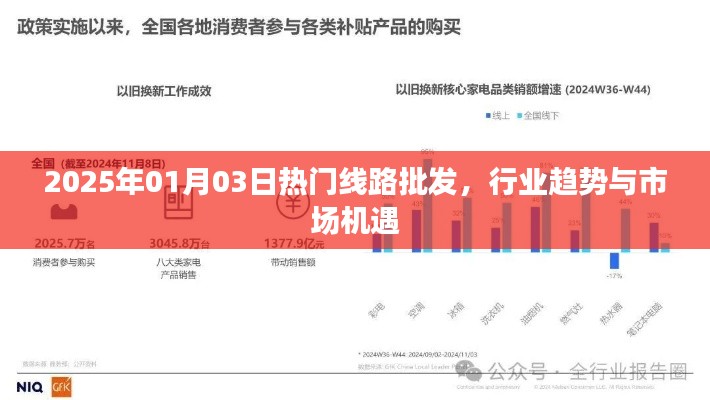 2025年热门线路批发趋势与行业市场机遇解析