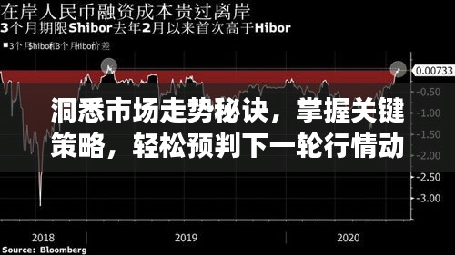 洞悉市场走势秘诀，掌握关键策略，轻松预判下一轮行情动向！