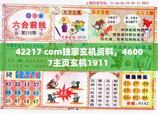 42217 com独家玄机资料，46007主页玄机1911 