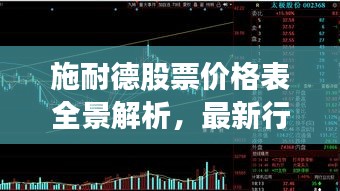 施耐德股票价格表全景解析，最新行情、深度分析与未来趋势预测